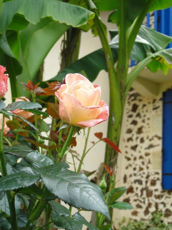 Chambre D'Hotes L'Airial Liposthey Dış mekan fotoğraf